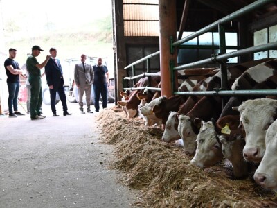 Posjeta ministra Hrnjića proizvođačima Velikoj Kladuši