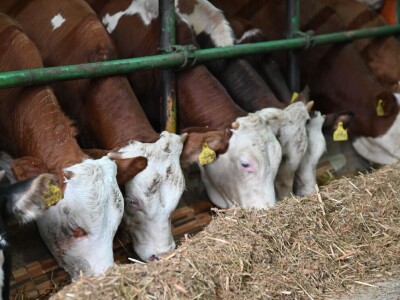 Posjeta ministra Hrnjića proizvođačima Velikoj Kladuši