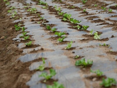 Posjeta ministra Hrnjića proizvođačima Velikoj Kladuši