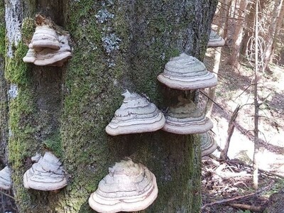 Posjeta Novaka Đokovića