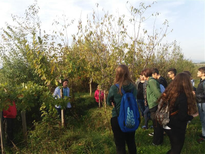 Učenici Ekonomske škole posjetili OPG Livak