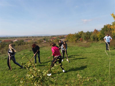 Igra starih sportova