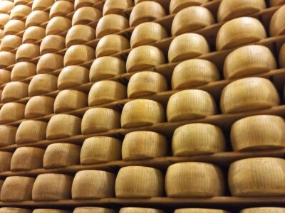 Posjeta sajmu CIBUS TEC