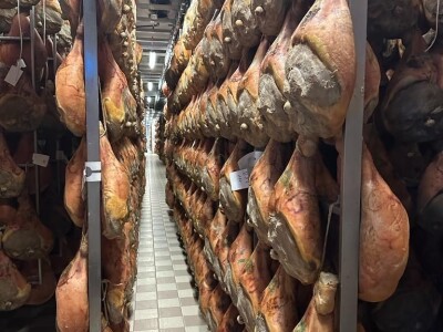 Posjeta sajmu CIBUS TEC