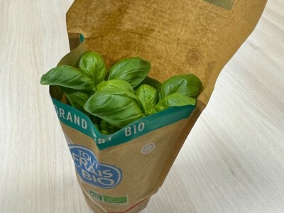 Posjetili smo francusku pokrajinu Anjou