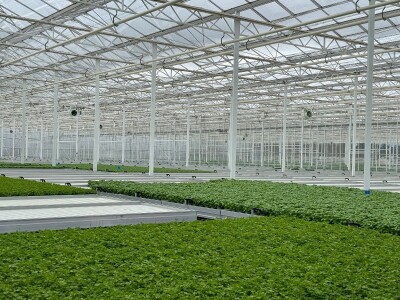 Posjetili smo francusku pokrajinu Anjou