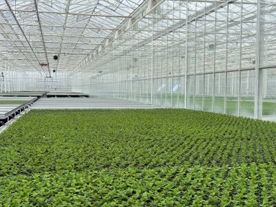 Posjetili smo francusku pokrajinu Anjou