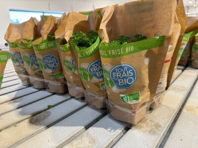 Posjetili smo francusku pokrajinu Anjou, poznatu po proizvodnji ljekovitog bilja