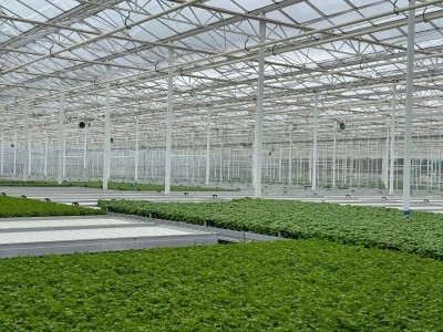 Posjetili smo francusku pokrajinu Anjou, poznatu po proizvodnji ljekovitog bilja