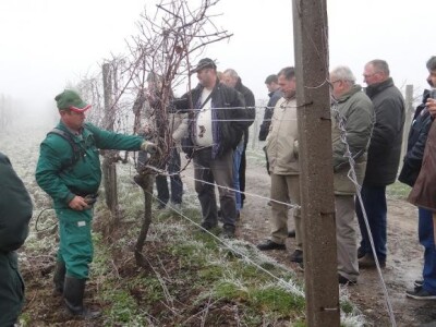 Posjetitelji prezentacije