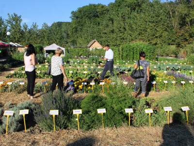 Posjetitelji u obilasku permakulturnog vrta