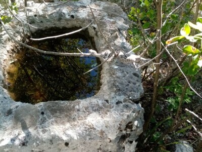 Poskoci u zaseoku Rake