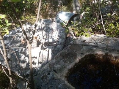 Poskoci u zaseoku Rake