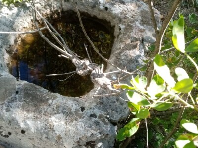 Poskoci u zaseoku Rake