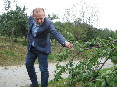 Posledice oluje sa grado u Topoli, 13.06.2018.