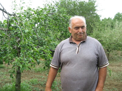 Posledice oluje sa grado u Topoli, 13.06.2018.