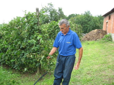 Posledice oluje sa grado u Topoli, 13.06.2018.