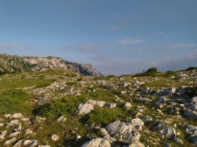 Poslednji suvoplaninski ovčar na planini je već pola veka Poslednji suvoplaninski ovčar na planini je već pola veka