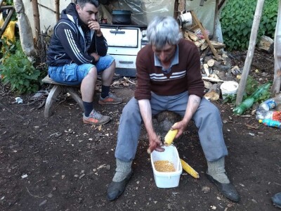 Poslednji suvoplaninski ovčar na planini je već pola veka Poslednji suvoplaninski ovčar na planini je već pola veka