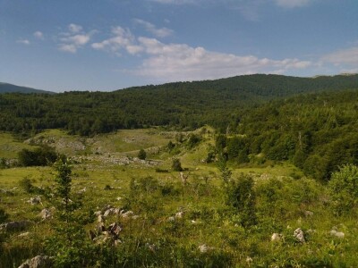 Poslednji suvoplaninski ovčar na planini je već pola veka Poslednji suvoplaninski ovčar na planini je već pola veka