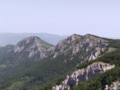 Poslednji suvoplaninski ovčar na planini je već pola veka Poslednji suvoplaninski ovčar na planini je već pola veka