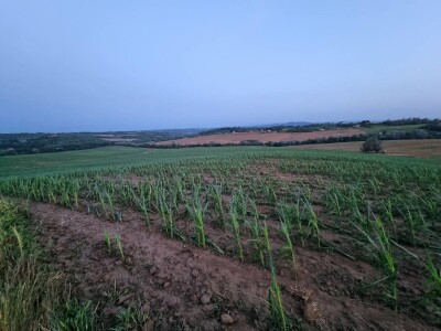 Posljedice olujnog nevremena u BiH
