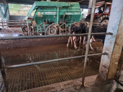 Posljedice olujnog nevremena u BiH