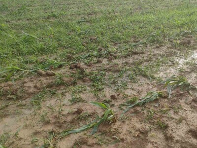 Posljedice olujnog nevremena u BiH