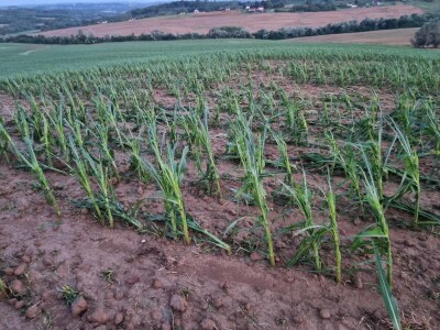 Posljedice olujnog nevremena u BiH