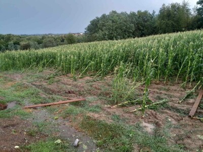 Posljedice olujnog nevremena u BiH