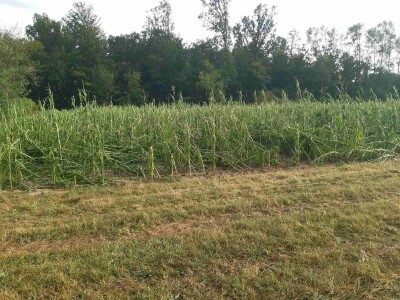 Posljedice olujnog nevremena u BiH