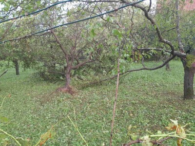 Posljedice olujnog nevremena u BiH