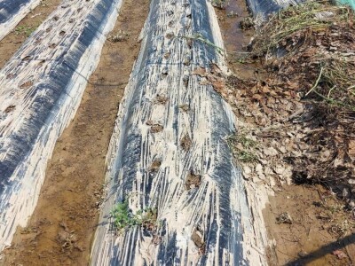 Posljedice poplava u Čeliću Posljedice poplava u Čeliću