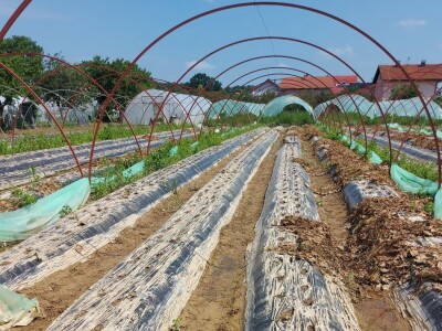 Posljedice poplava u Čeliću Posljedice poplava u Čeliću