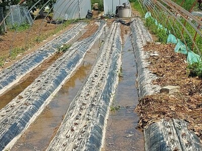 Posljedice poplava u Čeliću Posljedice poplava u Čeliću