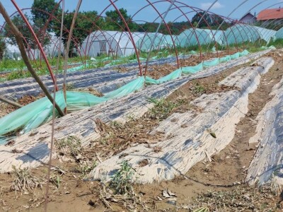 Posljedice poplava u Čeliću Posljedice poplava u Čeliću