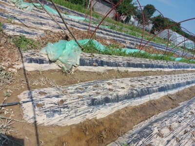 Posljedice poplava u Čeliću Posljedice poplava u Čeliću