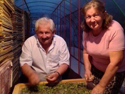 Posljednji Jankula - gledali ga kao čudaka, sad zgrće pare od biljaka i rakije od gljiva