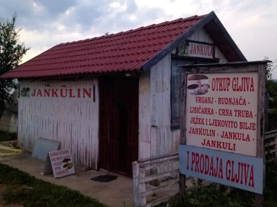 Posljednji Jankula - gledali ga kao čudaka, sad zgrće pare od biljaka i rakije od gljiva