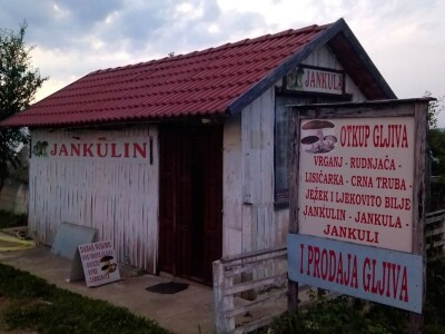 Posljednji Jankula - gledali ga kao čudaka, sad zgrće pare od biljaka i rakije od gljiva