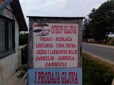 Posljednji Jankula - gledali ga kao čudaka, sad zgrće pare od biljaka i rakije od gljiva