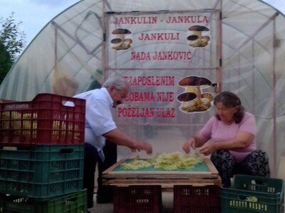 Posljednji Jankula - gledali ga kao čudaka, sad zgrće pare od biljaka i rakije od gljiva