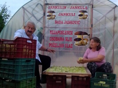 Posljednji Jankula - gledali ga kao čudaka, sad zgrće pare od biljaka i rakije od gljiva