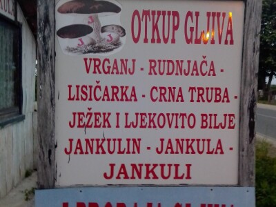 Posljednji Jankula - gledali ga kao čudaka, sad zgrće pare od biljaka i rakije od gljiva