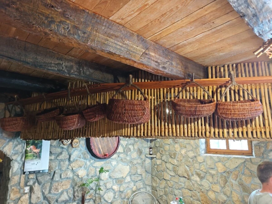 Ko&scaron;are radionica
