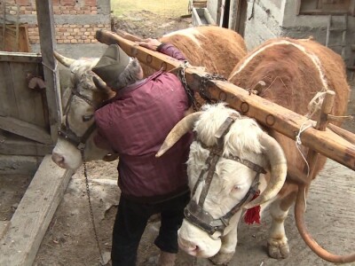 Posljednji rudjaski rabadžija