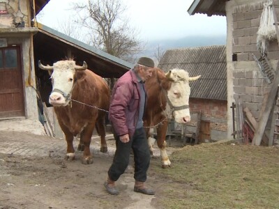 Posljednji rudjaski rabadžija