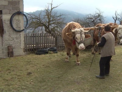 Posljednji rudjaski rabadžija