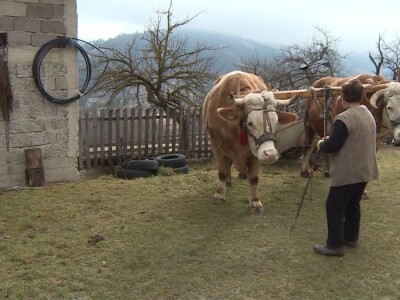 Posljednji rudjaski rabadžija