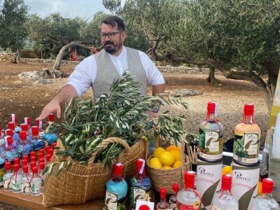 POSTIRA: Hrvati po drugi put prvaci svijeta u branju maslina